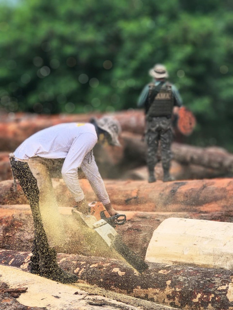 Ibama fecha serralherias, apreende madeira ilegal e aplica R$ 13 milhões em multas no Pará 