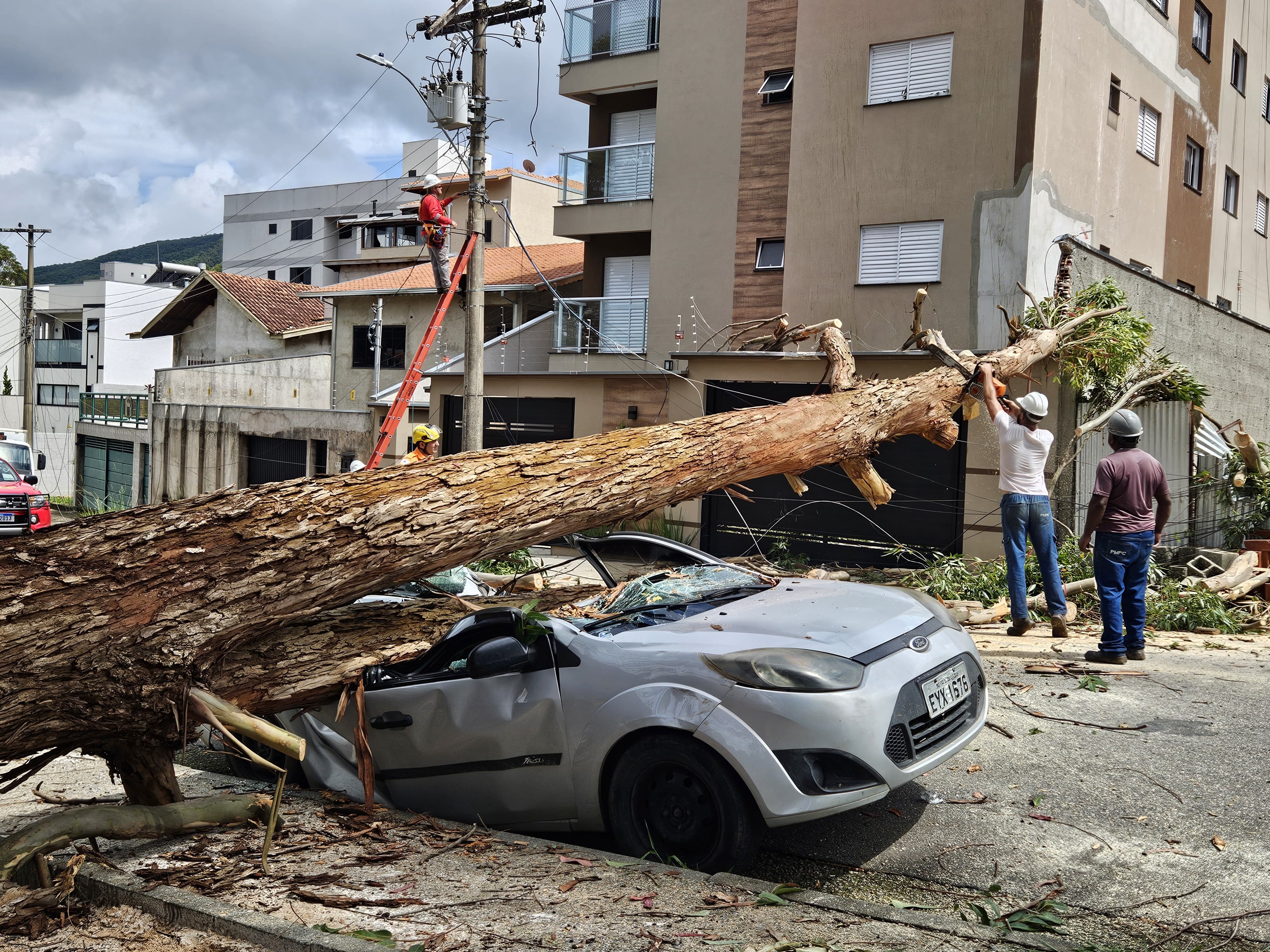 Árvore cai sobre carro e deixa veículo destruído em Poços de Caldas; veja FOTOS