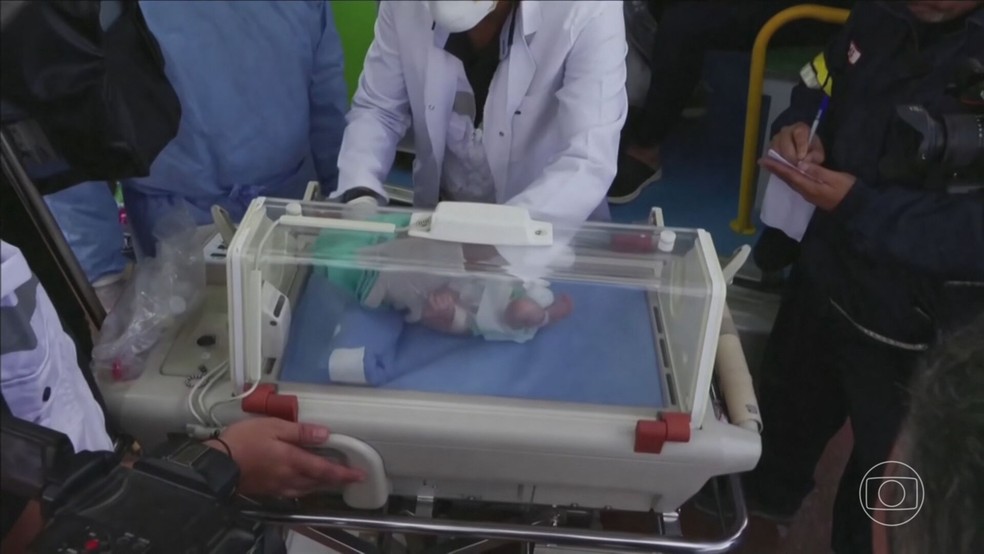 Chegam ao Egito 28 bebês prematuros retirados de hospital em Gaza. — Foto: TV Globo/Reprodução