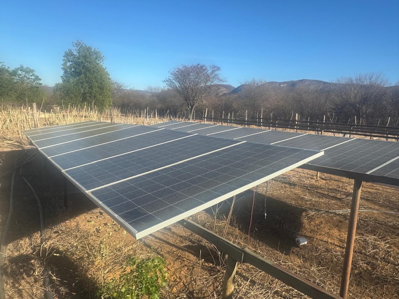 Plantação de maconha com sistema de energia solar é destruída pela polícia na Bahia