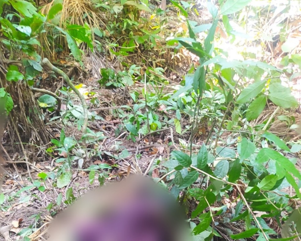 Corpo foi achado em uma área de mata no Ramal do Macarrão, no Belo Jardim I, em Rio Branco — Foto: Arquivo/Polícia Militar 