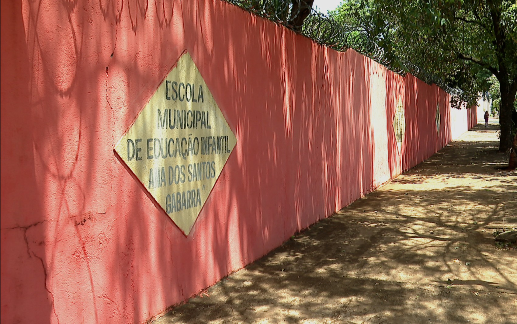 Gambás encontrados em escola infantil em Ribeirão Preto, SP, serão levados para reserva ambiental 