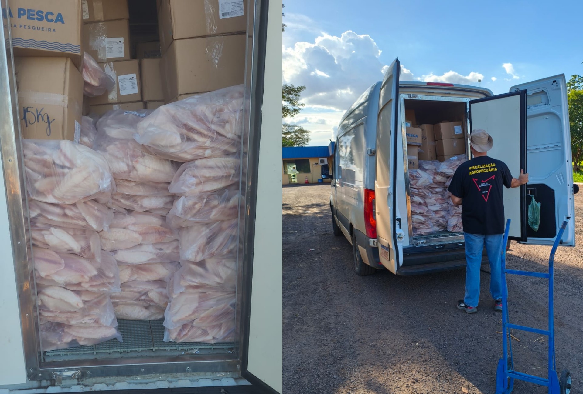 Selos de inspeção incompatíveis e erros de português denunciam fraude em carga de peixe em MS