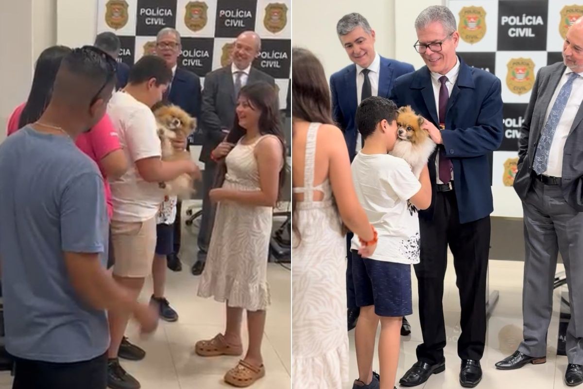 Cachorro Spitz Alemão reencontra família após ser furtado no litoral de SP e localizado em SC; VÍDEO  