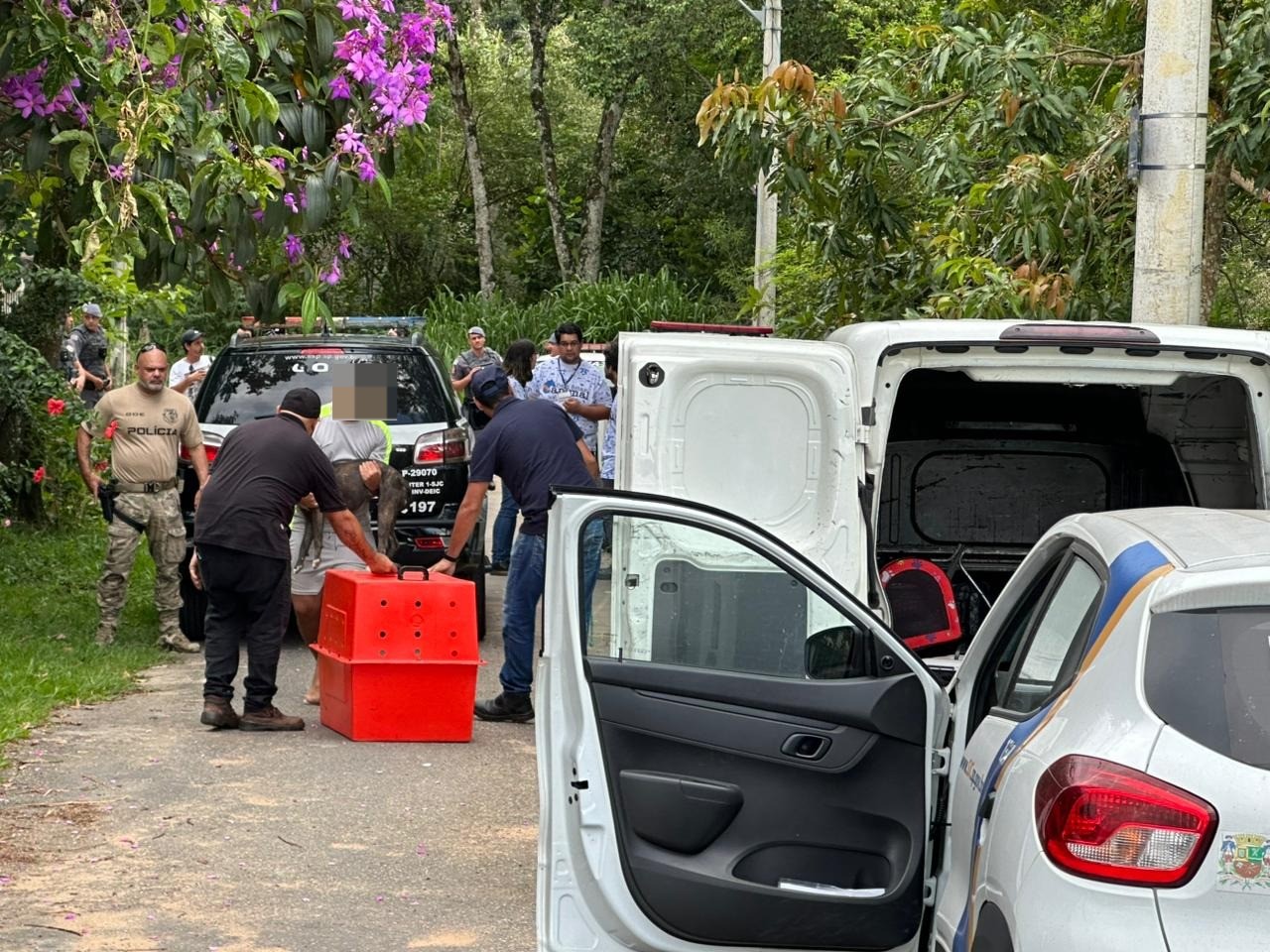 Mulher é resgatada pelo helicóptero Águia após ser atacada por pitbull em São José dos Campos, SP