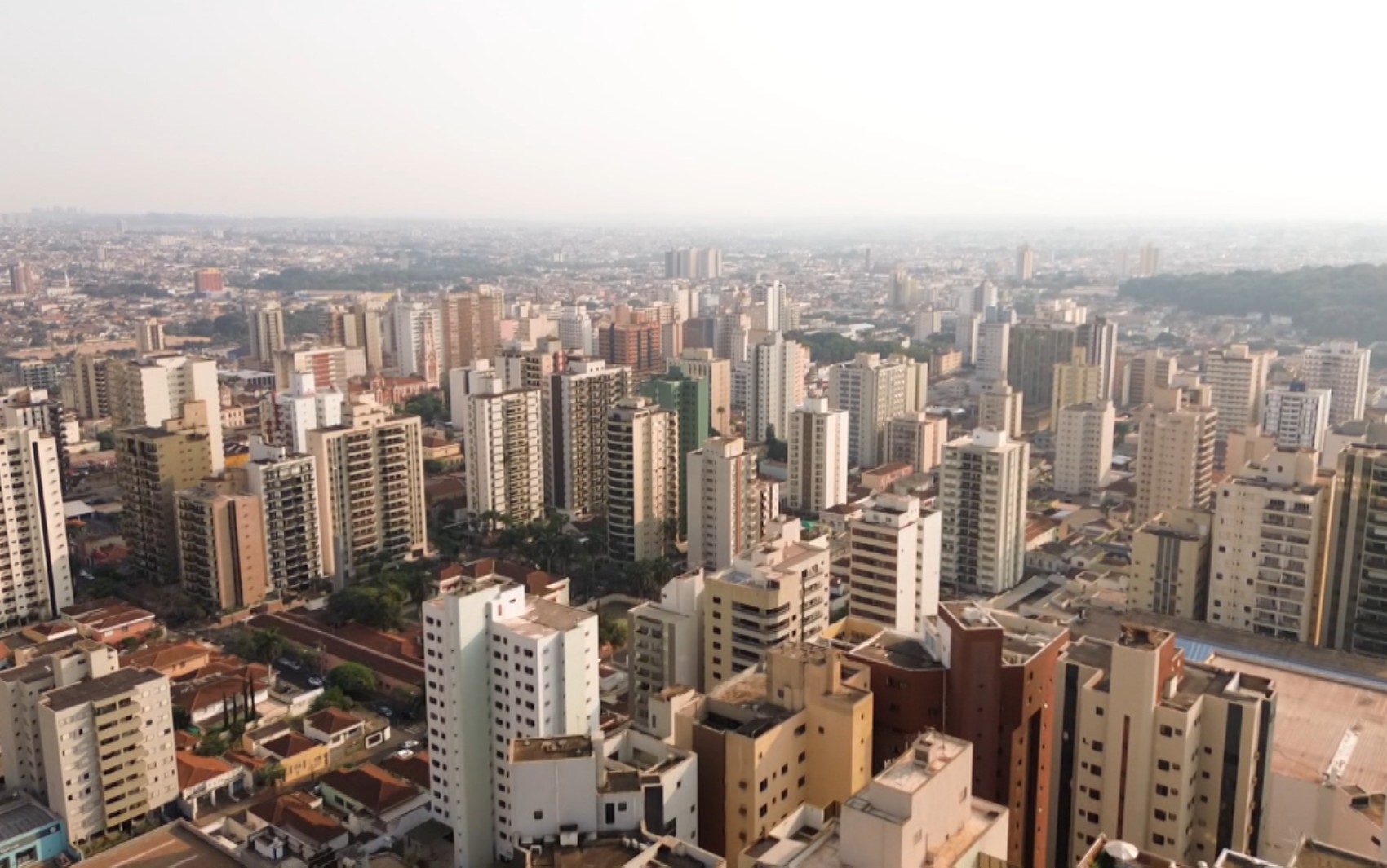 Decreto em Ribeirão Preto proíbe publicidade de 'bets' em espaços de acesso público