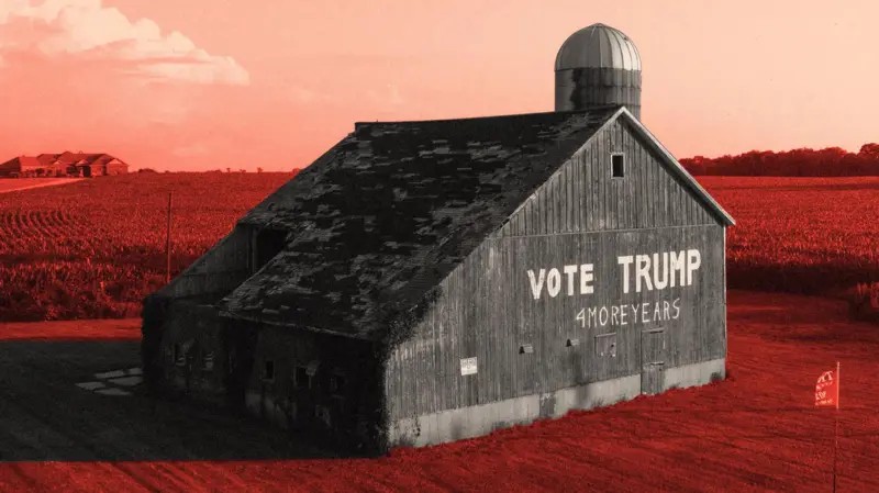 Tarifas de Trump atingem agronegócio americano: 'Muitos vão quebrar'
