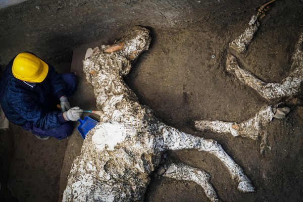 Arqueólogos descobrem restos do famoso Cavalo de Tróia