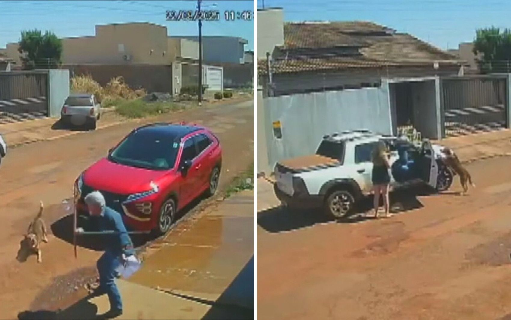Oficial de Justiça atira em cachorro no meio de rua em Goiás; vídeo 