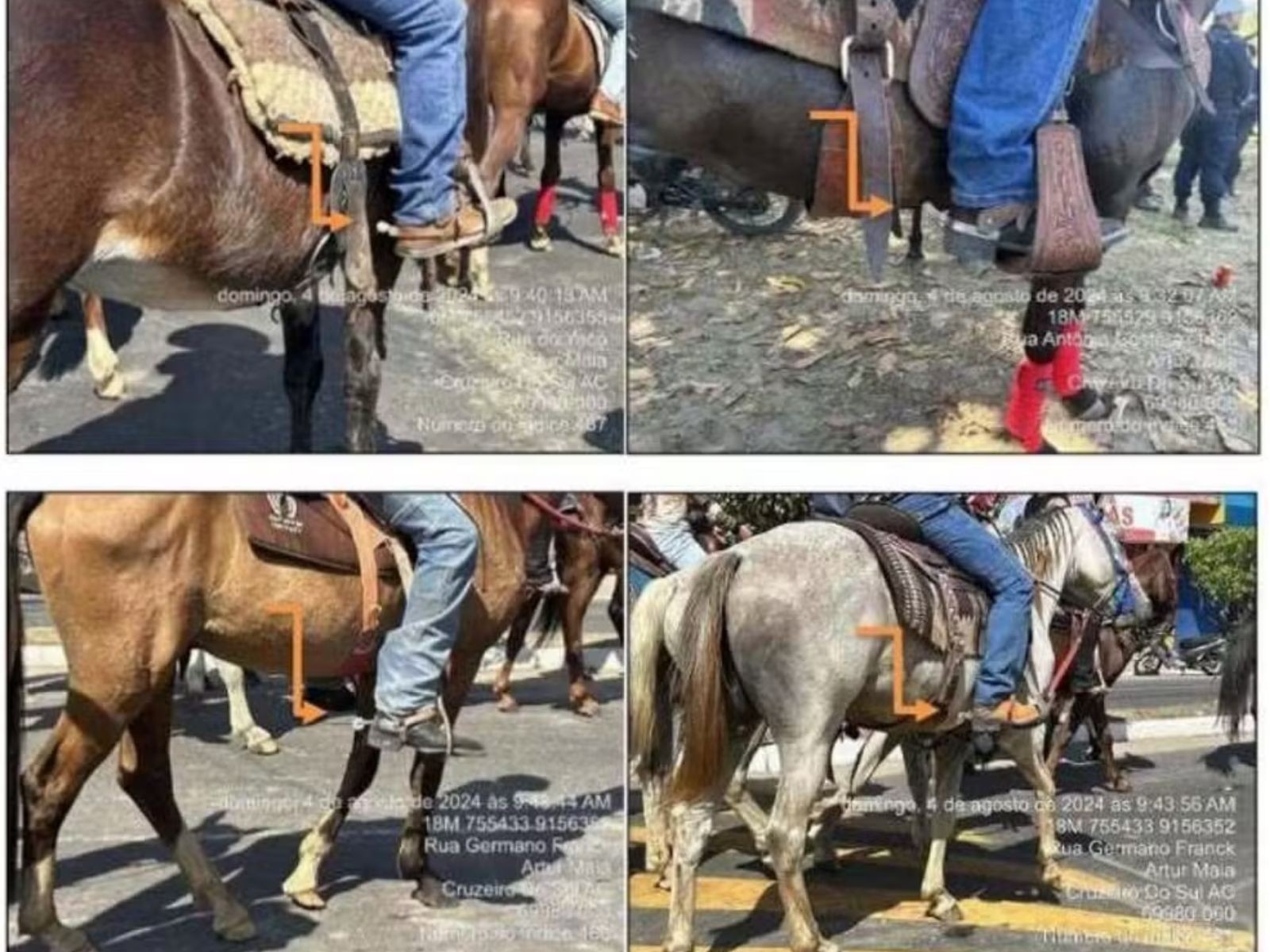 Municípios do Acre são condenados a pagar R$ 400 mil por irregularidades em cavalgadas