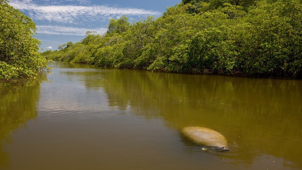 Adolescente de 13 anos morre afogado em Mamanguape, no Litoral Norte da Paraíba