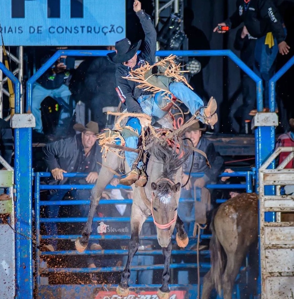 Égua 'Louca Paixão' morre aos cinco anos de idade  — Foto: Reprodução