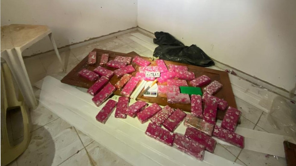 Maconha embalada para presente foi encontrada em chácara de Juazeiro do Norte, no Ceará. — Foto: SSPDS/Reprodução