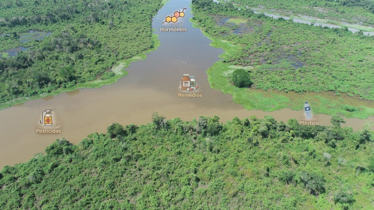 Pesquisadores identificam 14 poluentes nos rios e alerta sobre a qualidade da água em MT