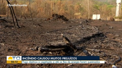 Incêndio florestal destrói fios eletrétricos e plantações em Porto Nacional