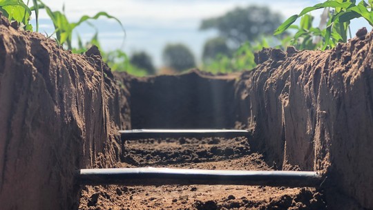 Estudo da USP revela que 64% dos solos do mundo são frágeis e alerta para impactos na agricultura e meio ambiente - Segundo pesquisadores, manejo inadequado do solo faz ele perder a capacidade de estocar água e carbono, impactando diretamente no clima e produção de alimentos.