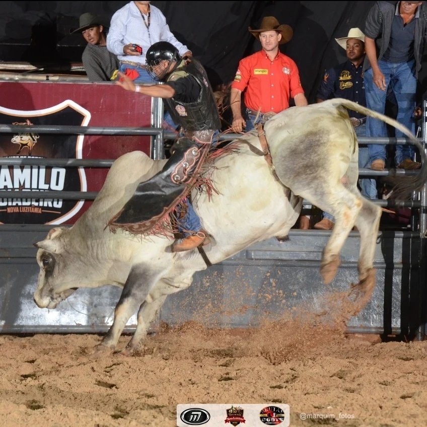 Peão que morreu ao ser pisoteado por touro durante rodeio ficou em terceiro lugar na disputa em MS