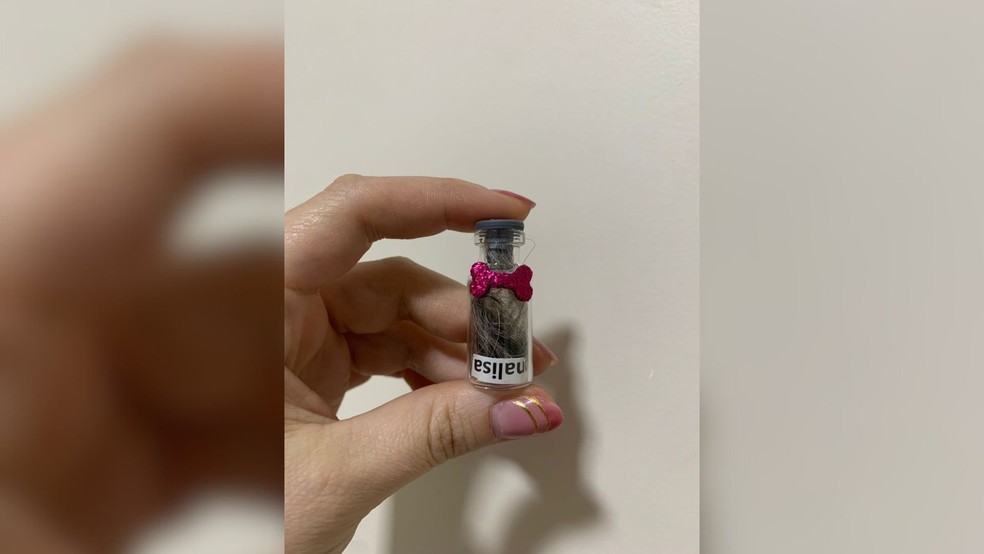 Clínica veterinária de São José do Rio Preto (SP) retira mecha de pelos dos animais falecidos para os tutores guardarem como recordação — Foto: Arquivo pessoal