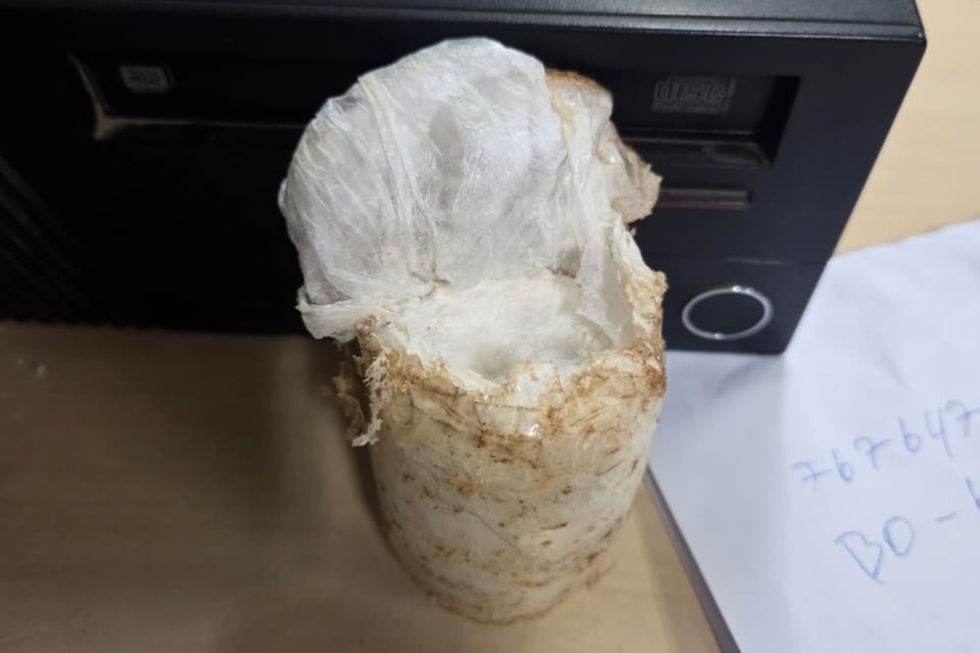 Homem é preso com cocaína após invadir a usina termoelétrica de Boa Vista
