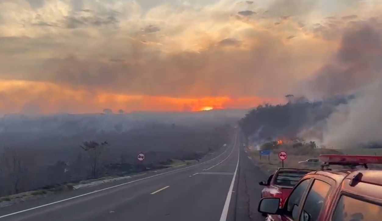 Incêndios em área de mata às margens de rodovia interdita via por duas horas no interior de SP 