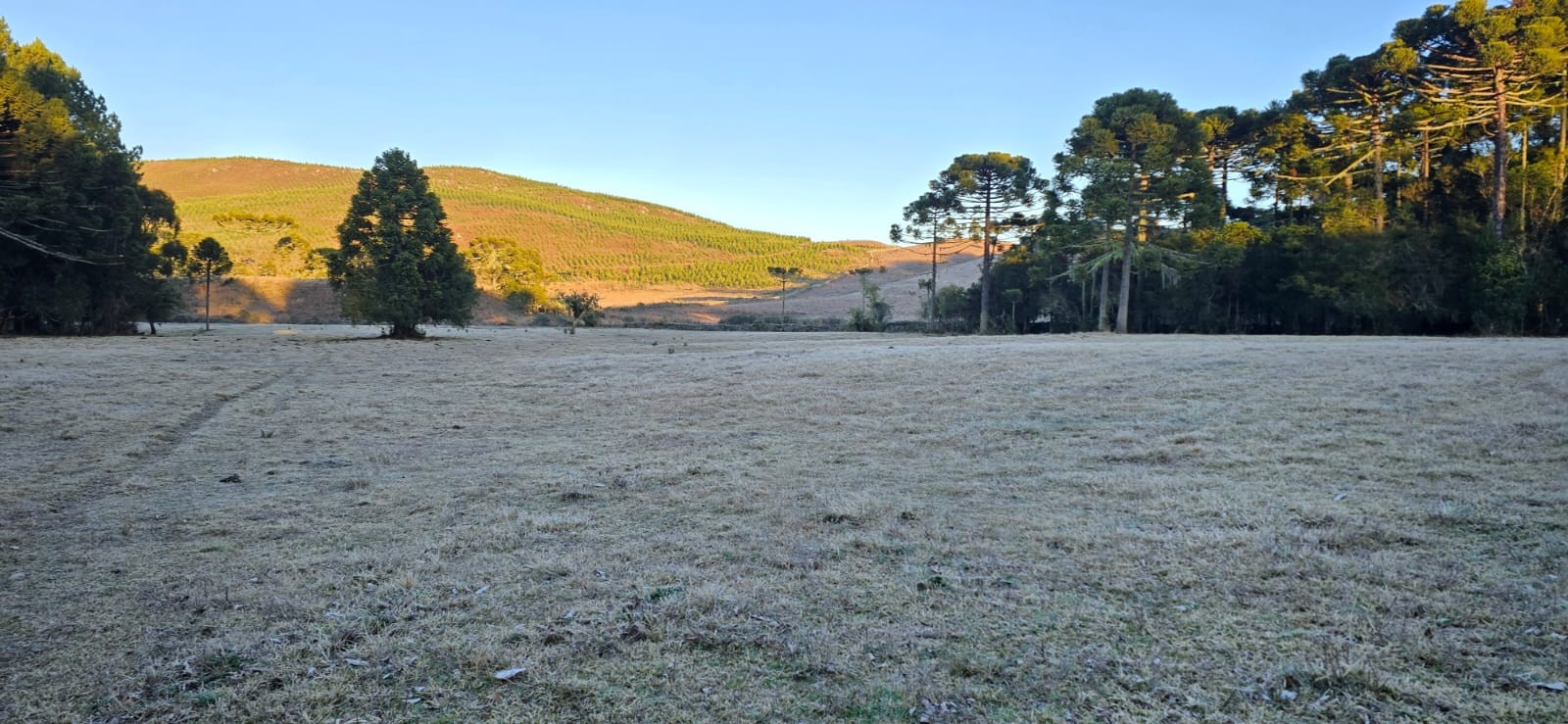 SC tem sequência gelada de inverno com mínima abaixo de -2ºC e formação de geada após neve