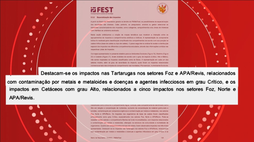 Relatório fala dos impactos nas tartarugas. — Foto: g1 ES