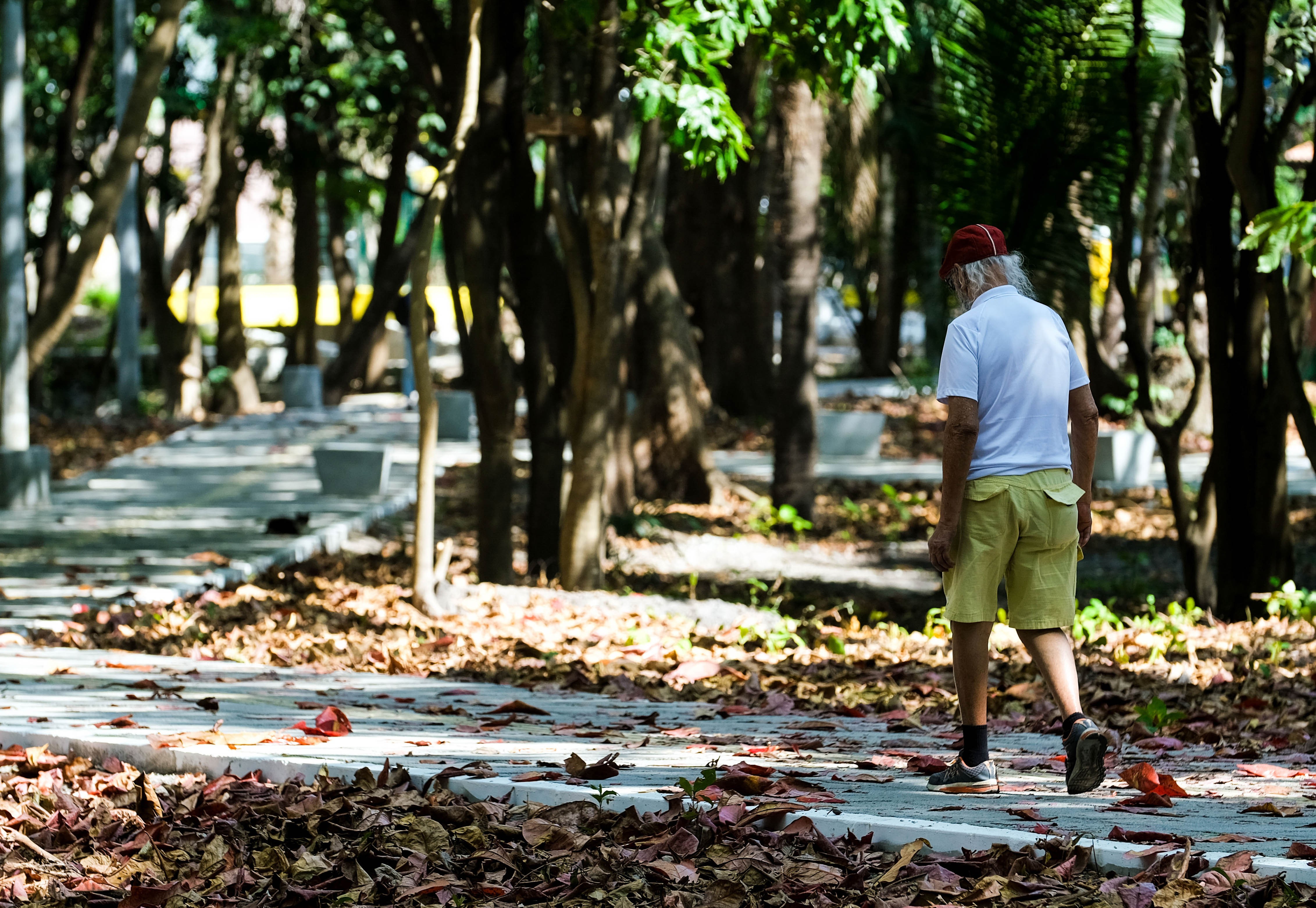 Município de 6 mil habitantes tem melhor qualidade de vida do Ceará, diz pesquisa; veja ranking