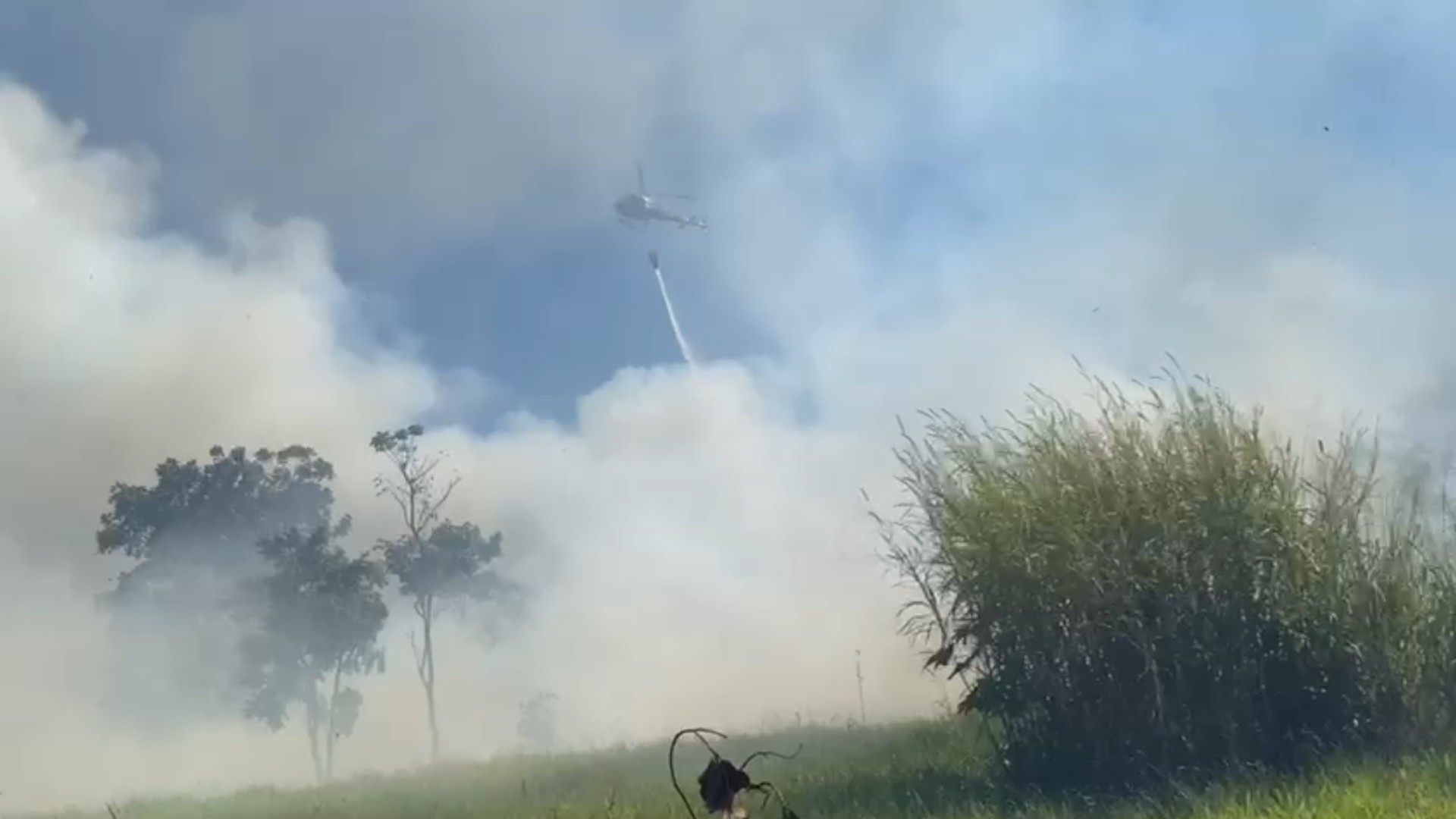 Incêndio em terreno suspende atendimentos de associação para crianças deficientes em Rio Preto