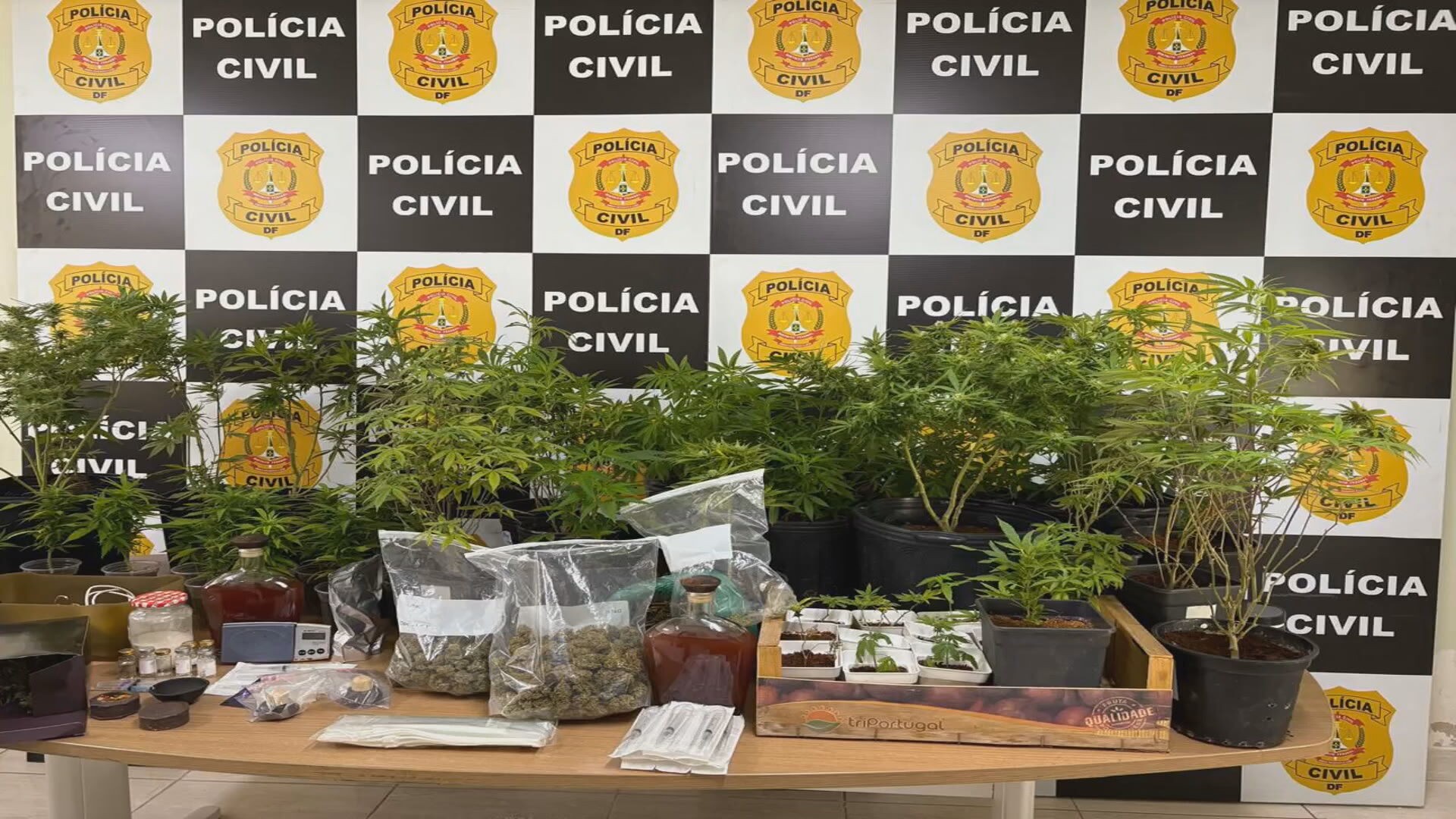 Advogado suspeito de usar as redes sociais para vender drogas é preso