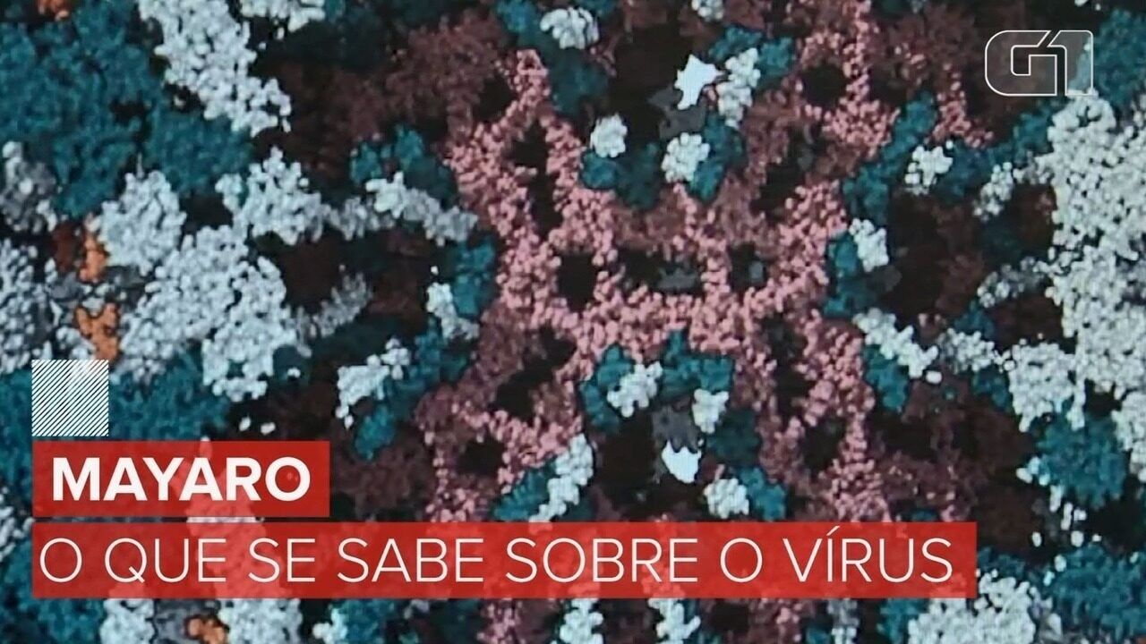 Mayaro e o que mais? Unicamp aponta possível transmissão urbana do vírus