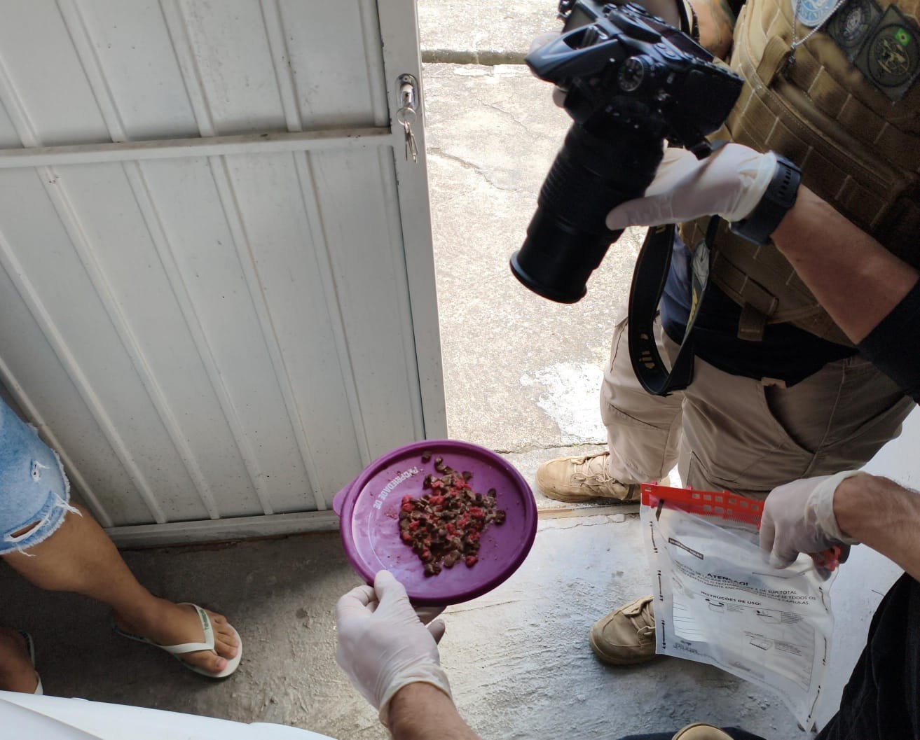 Suspeito de envenenar gatos é preso em Campina Grande após denúncia de moradores
