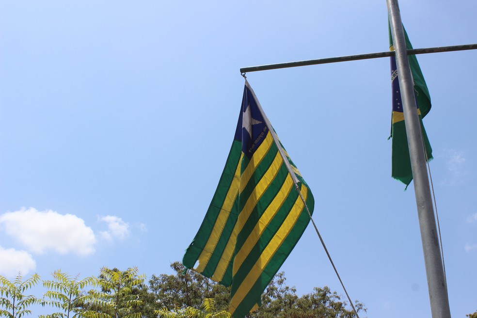 Bandeira do Piauí também terá que ser hasteada uma vez por semana — Foto: Gustavo Almeida/G1
