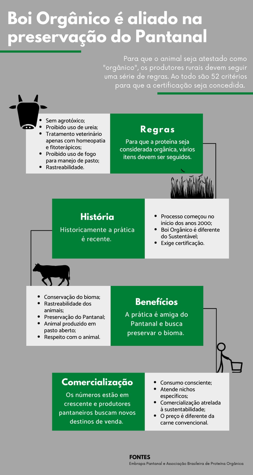 Para especialistas e produtores rurais, boi orgânico ajuda a preservar bioma.   — Foto: Informações: ABPO e Embrapa Pantanal/ Infográfico: José Câmara