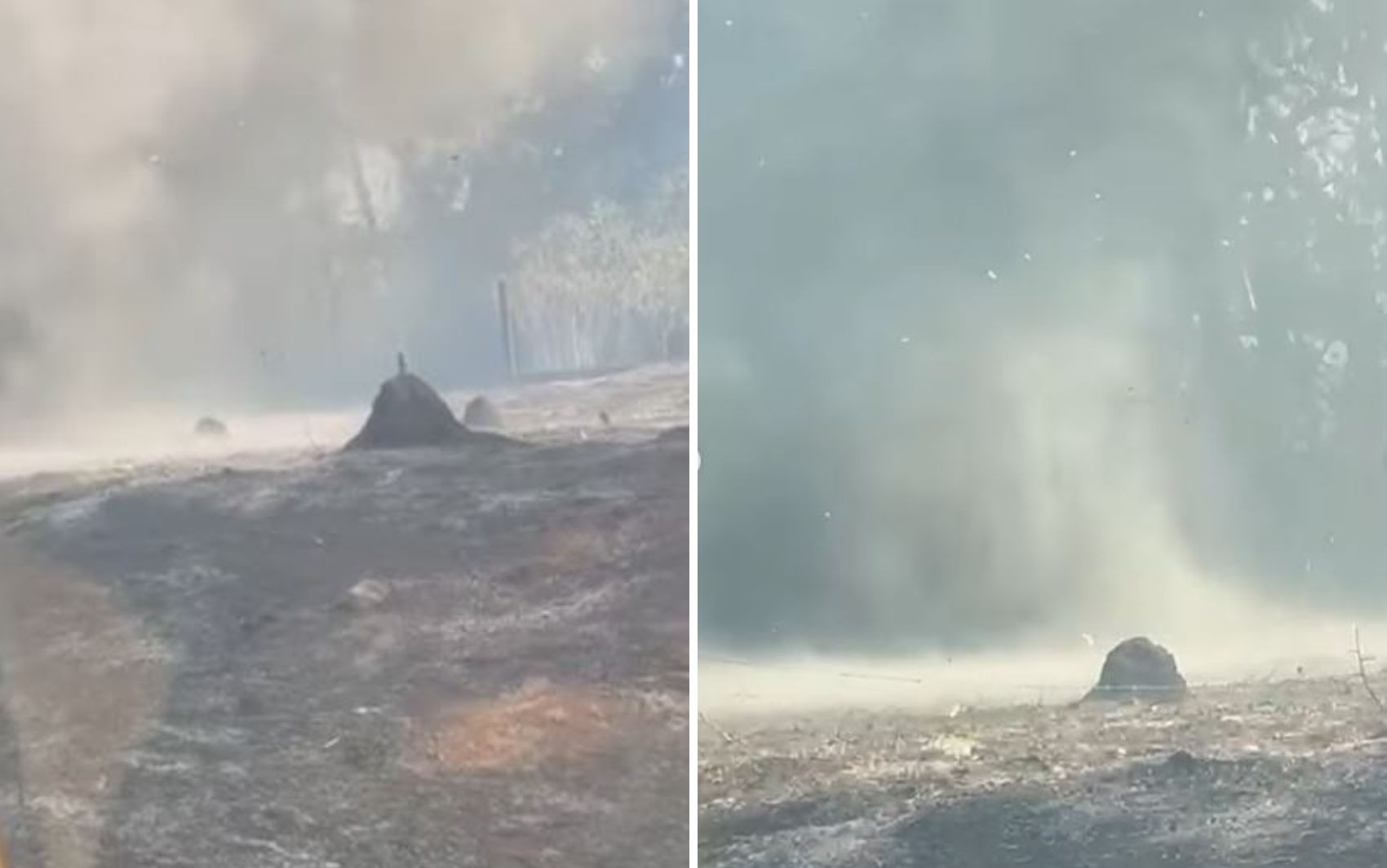 Redemoinho de cinzas impressiona após incêndio em Goiás; vídeo 