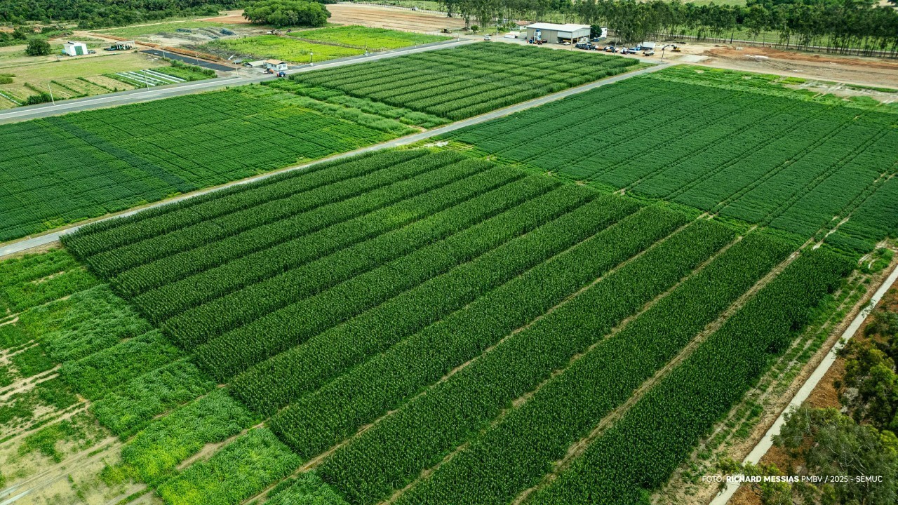 AGROBV 2025 - Campo Experimental é vitrine de inovação em evento do agro de Roraima