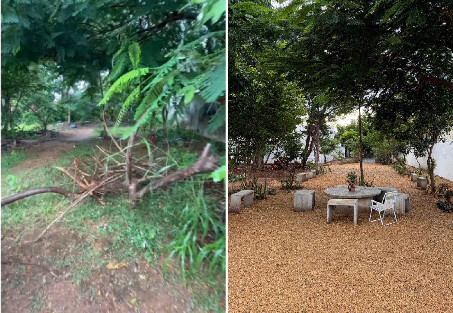 Influenciador com 3,5 milhões de seguidores se muda para Palmas e faz mutirão para limpar área pública: 'Era um depósito de lixo'