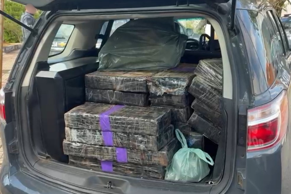 573 kg de drogas foram apreendidos durante operação em Tatuí — Foto: Reprodução/Polícia Civil