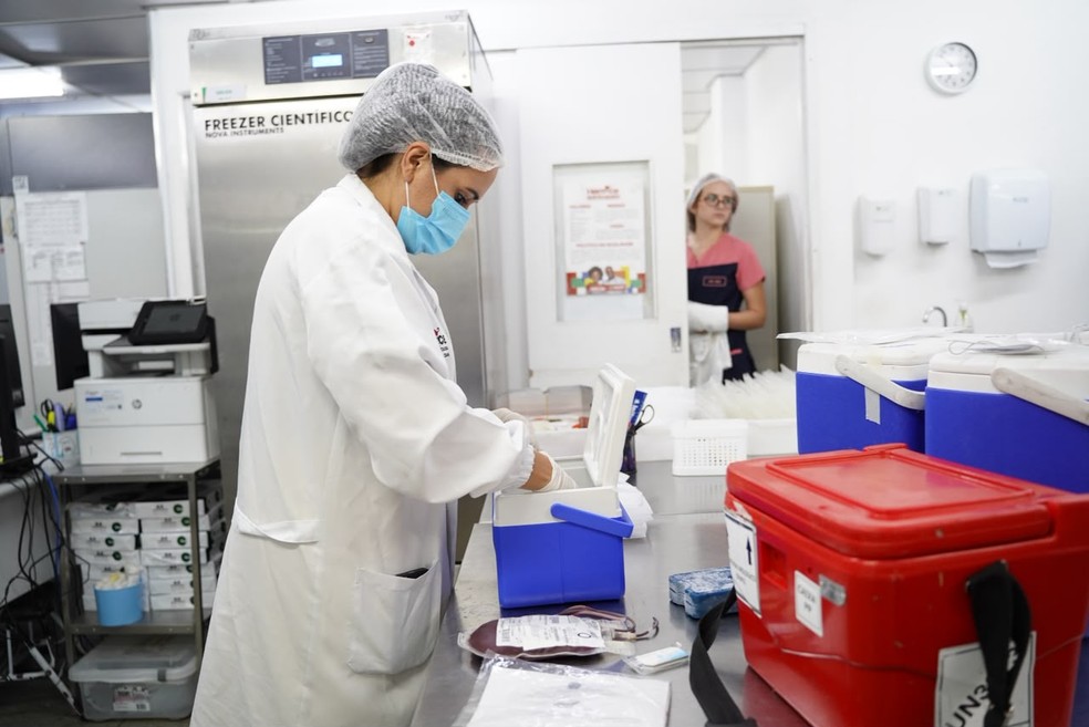 Sangue raro foi transportado entre estados — Foto: Paulo Cavalcanti/HEMOCE