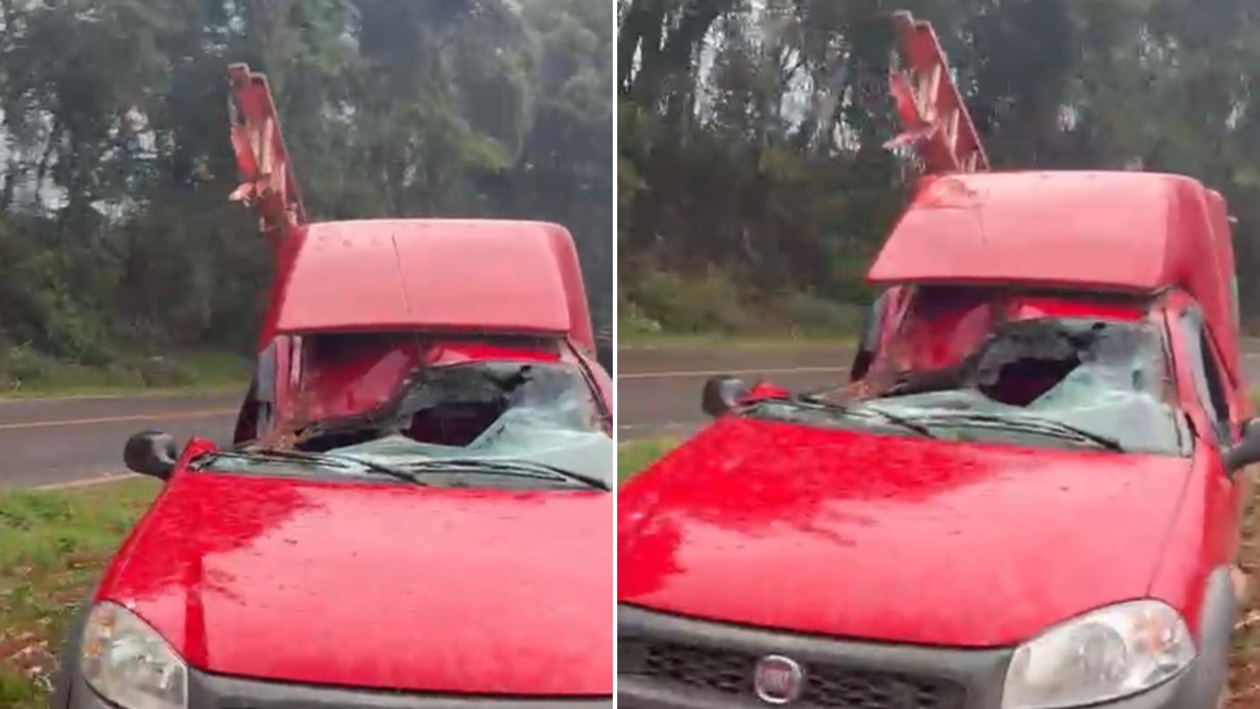 Passageiro escapa ileso após árvore atingir carro em tempestade no Sudoeste do Paraná