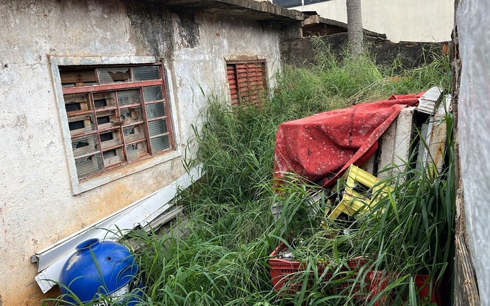 Cão da raça pitbull é resgatado em situação de maus-tratos em Guaxupé, MG — Foto: Polícia Civil