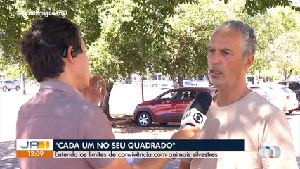 Entenda como lidar com animais silvestres que surgem na área urbana