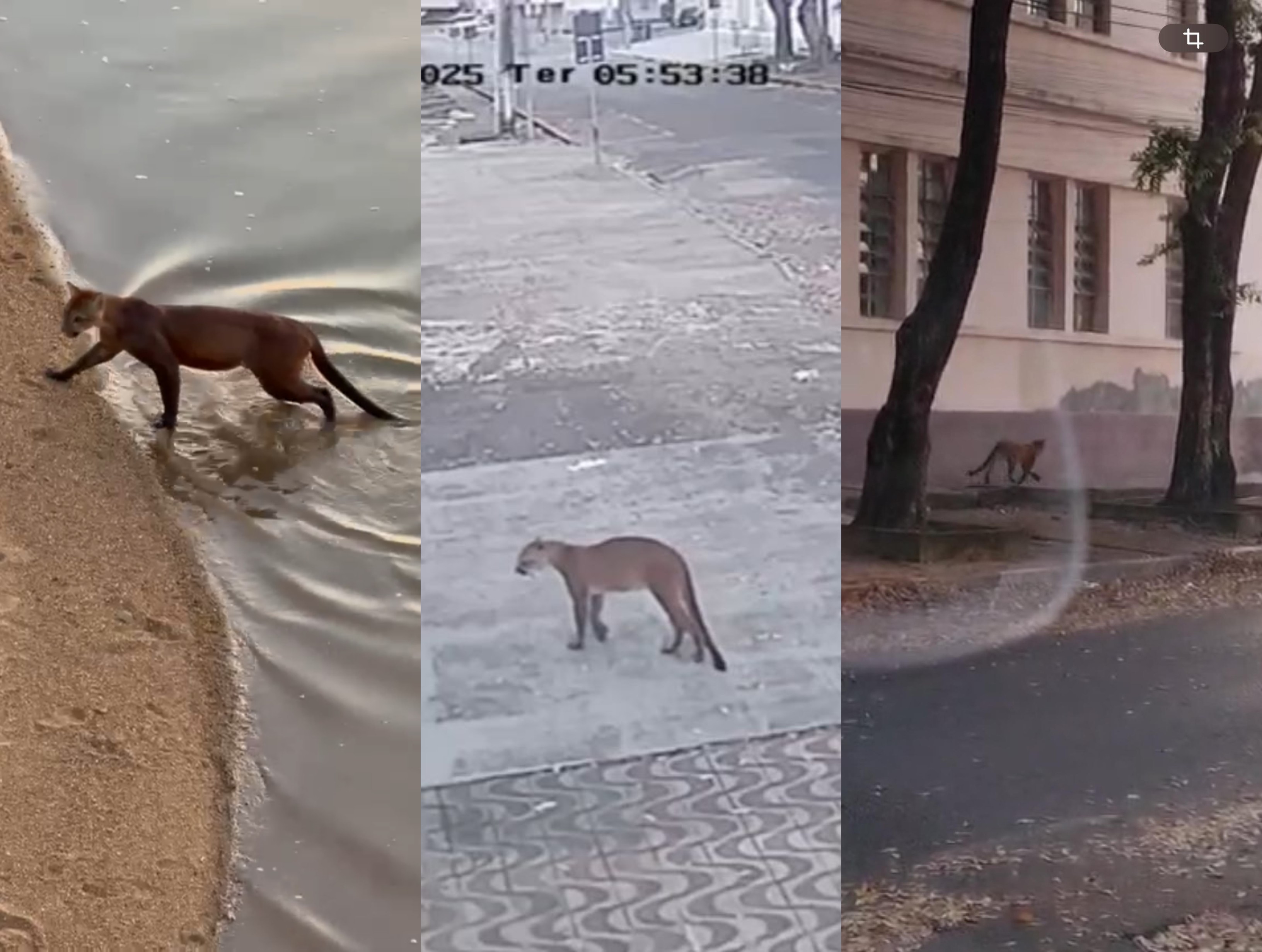 Você Não Tá Convidada pro Meu Bat Mitzvá!