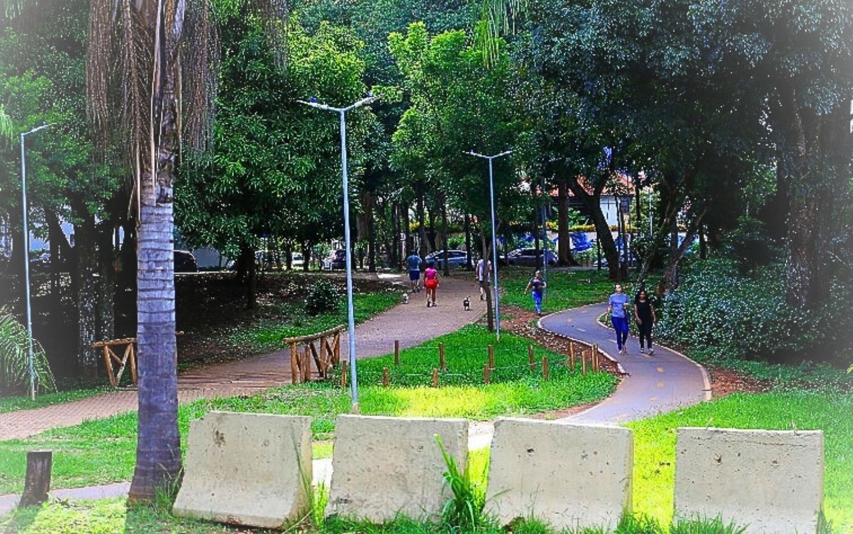 Prefeitura estuda abrir rua no Parque Flamboyant, em Goiânia 