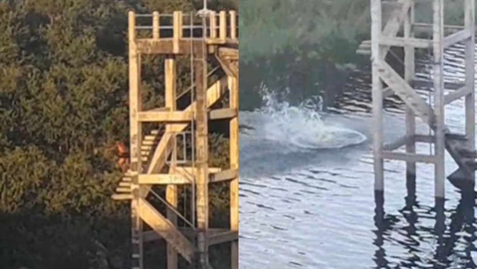 Homem pula de escadaria de 39 metros em açude e desaparece no interior do PI — Foto: Reprodução