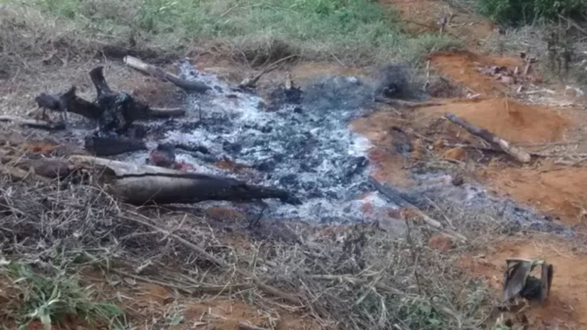 Irmãos são condenados a 140 anos de prisão por matar e queimar corpos de 4 pessoas de uma mesma família no ES