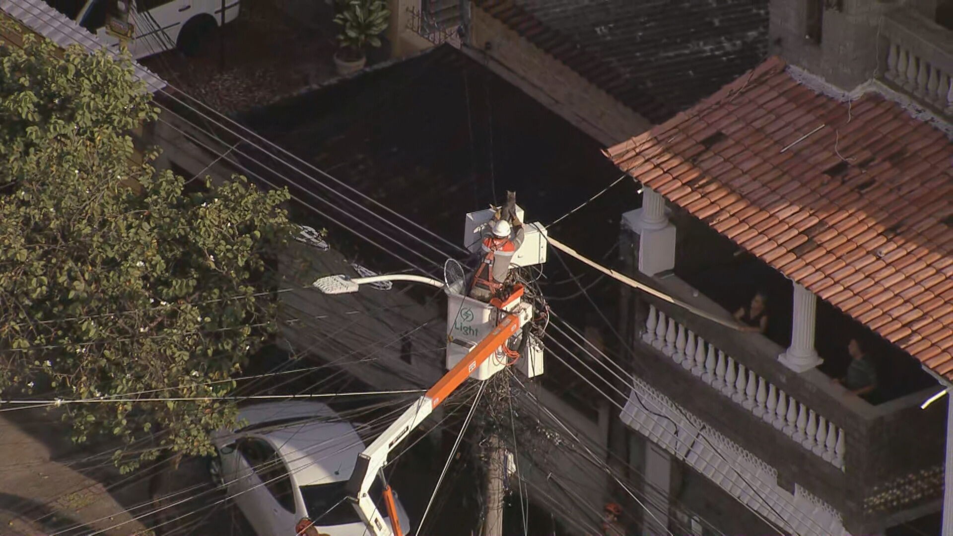 Resgate de gato em poste de energia mobiliza moradores da Zona Norte do Rio