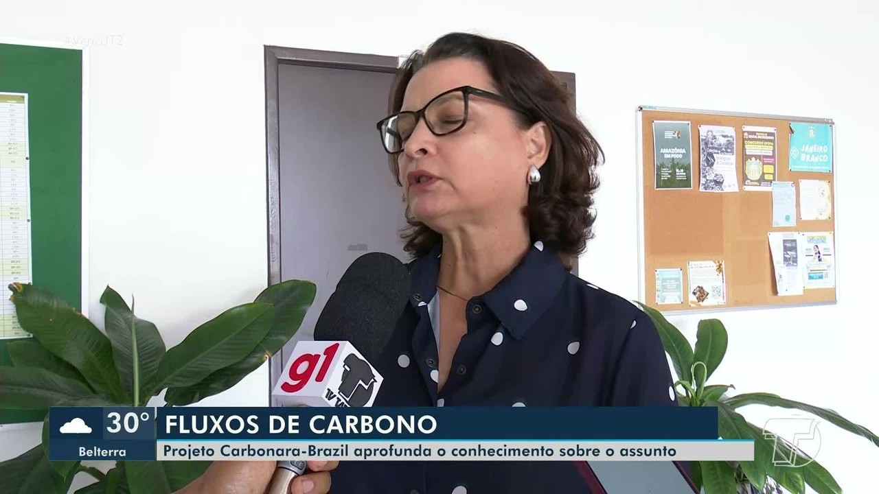 Ufopa integra pesquisa internacional sobre impactos climáticos na Amazônia