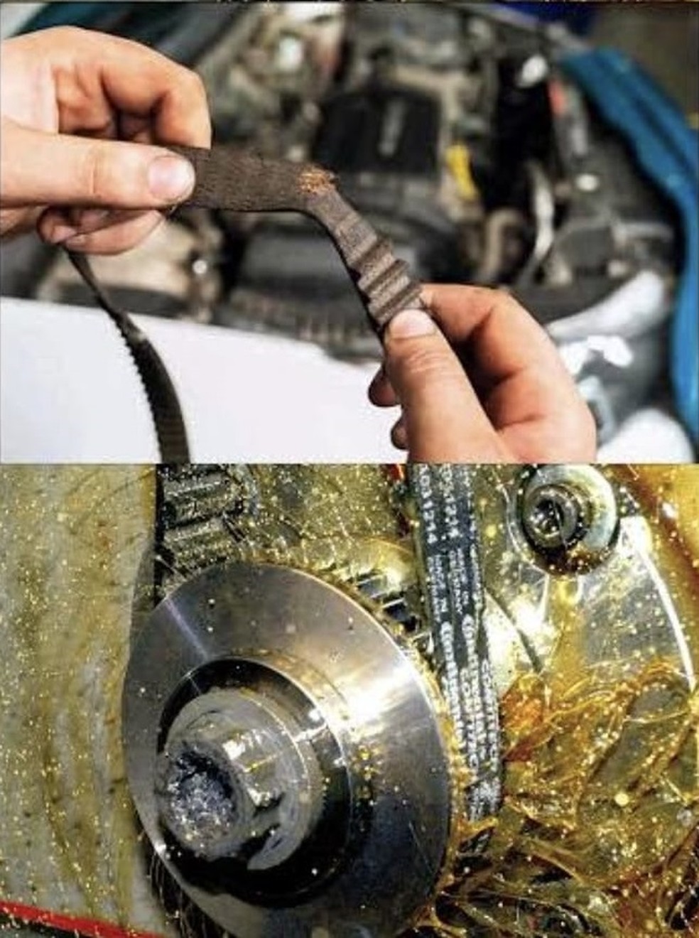 Correia dentada banhada a leo pode romper com o lubrificante errado  Foto: Guia Norte