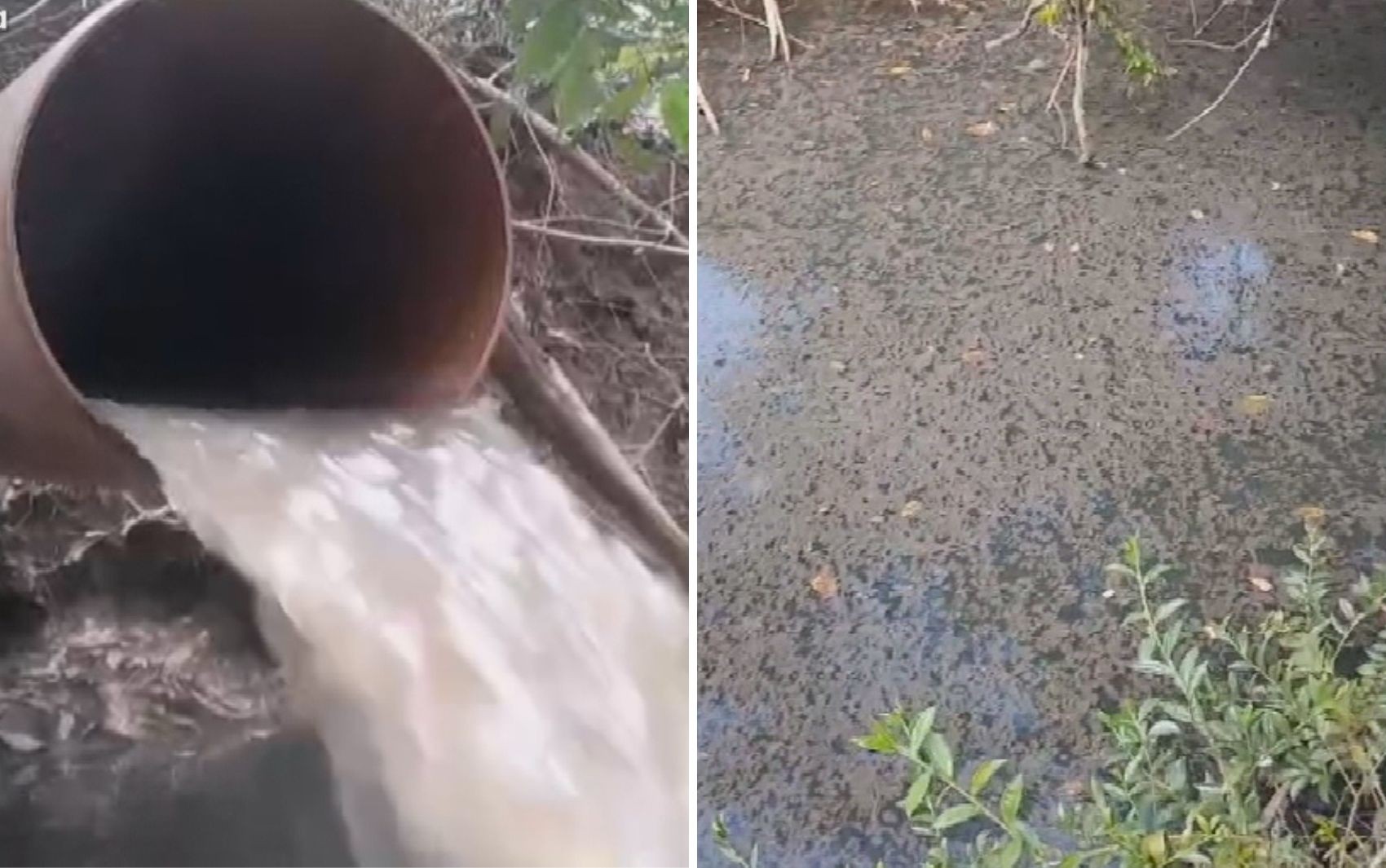 Córrego em Bela Vista de Goiás está contaminado com substância que pode causar câncer, e Saneago deve pagar multa de R$ 2,7 milhões