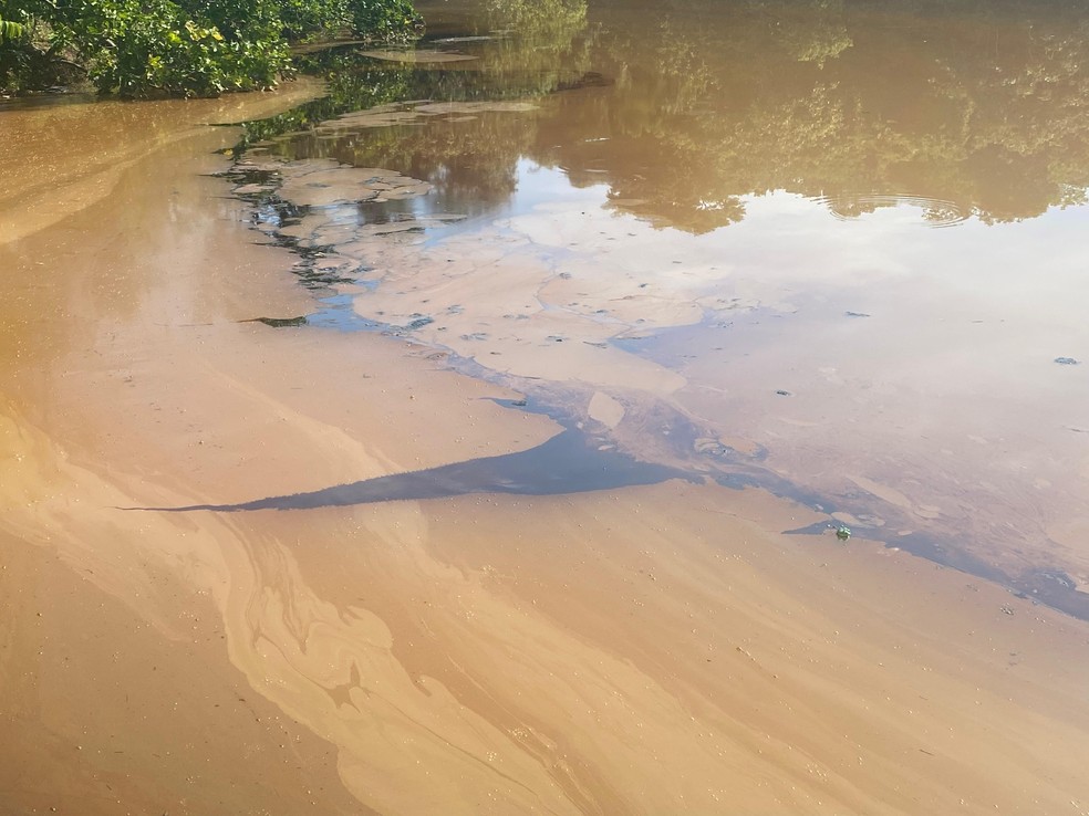 Manchas de óleo são vistas dentro do Parque Cesamar — Foto: Matheus Dias/ TV Anhanguera